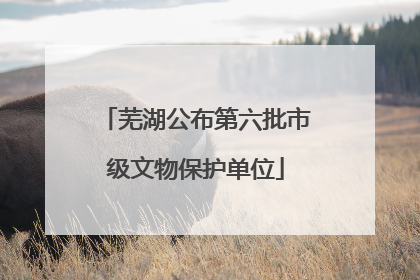 芜湖公布第六批市级文物保护单位