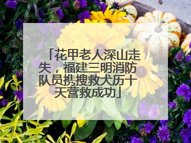 花甲老人深山走失，福建三明消防队员携搜救犬历十天营救成功