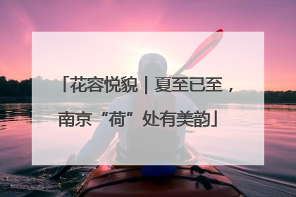 花容悦貌｜夏至已至，南京“荷”处有美韵