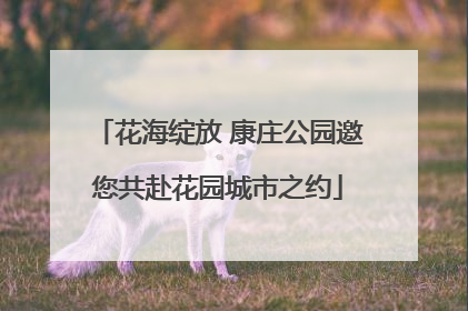 花海绽放 康庄公园邀您共赴花园城市之约