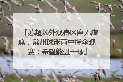苏超场外观赛区座无虚席，常州球迷雨中撑伞观赛：希望能进一球