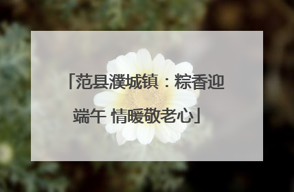范县濮城镇：粽香迎端午 情暖敬老心
