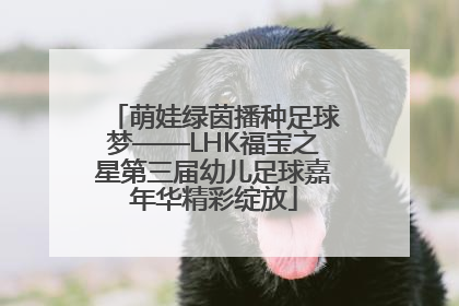 萌娃绿茵播种足球梦——LHK福宝之星第三届幼儿足球嘉年华精彩绽放