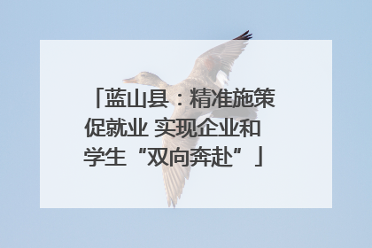 蓝山县：精准施策促就业 实现企业和学生“双向奔赴”