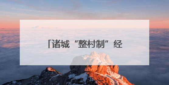 诸城“整村制”经营铺就富民强村路，合作社迎来大丰收
