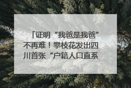 证明“我爸是我爸”不再难！攀枝花发出四川首张“户籍人口直系亲属关系谱”