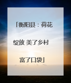 衡阳县：荷花绽放 美了乡村 富了口袋