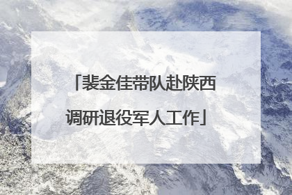 裴金佳带队赴陕西调研退役军人工作