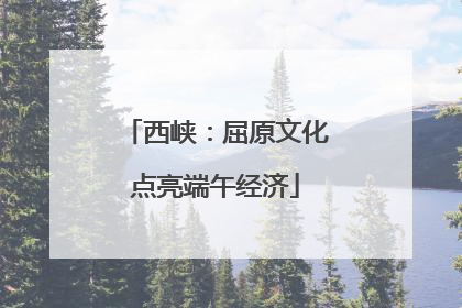 西峡：屈原文化点亮端午经济