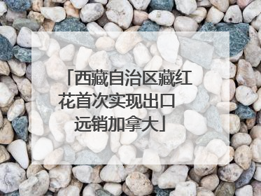 西藏自治区藏红花首次实现出口 远销加拿大