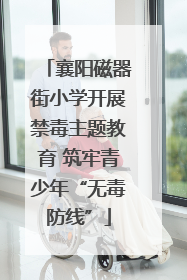 襄阳磁器街小学开展禁毒主题教育 筑牢青少年“无毒防线”