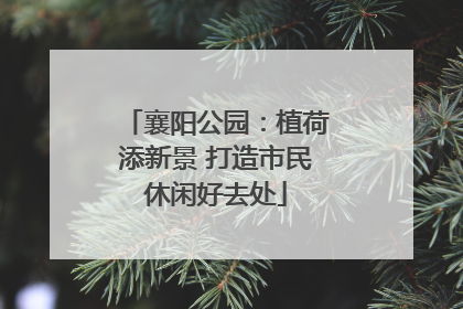 襄阳公园：植荷添新景 打造市民休闲好去处