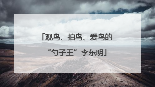 观鸟、拍鸟、爱鸟的“勺子王”李东明