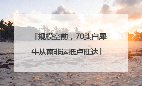 规模空前，70头白犀牛从南非运抵卢旺达