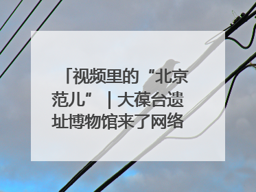 视频里的“北京范儿”｜大葆台遗址博物馆来了网络大V联盟