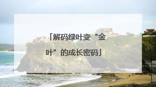 解码绿叶变“金叶”的成长密码