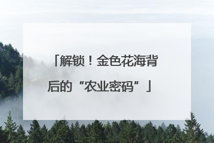 解锁!金色花海背后的“农业密码”