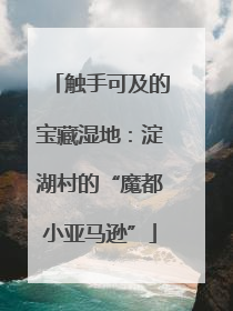 触手可及的宝藏湿地：淀湖村的“魔都小亚马逊”
