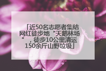近50名志愿者集结网红徒步地“天鹅林场”，徒步10公里清运150余斤山野垃圾