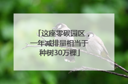 这座零碳园区，一年减排量相当于种树30万棵