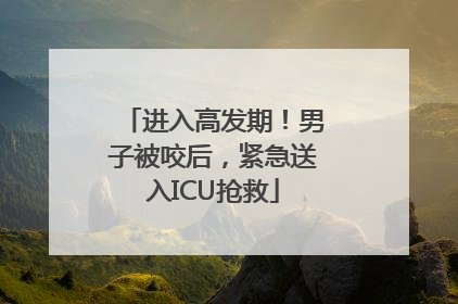 进入高发期！男子被咬后，紧急送入ICU抢救