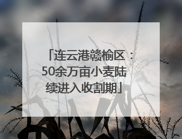 连云港赣榆区：50余万亩小麦陆续进入收割期