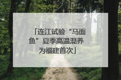 连江试验“马面鱼”夏季高温混养 为福建首次