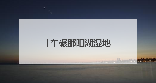 车碾鄱阳湖湿地案引入劳动代偿：生态法治在创新尝试｜有一说一