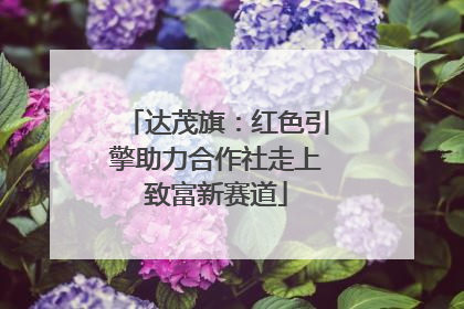 达茂旗：红色引擎助力合作社走上致富新赛道