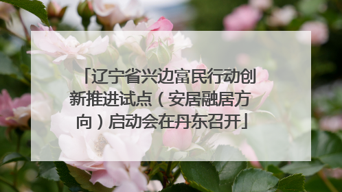 辽宁省兴边富民行动创新推进试点（安居融居方向）启动会在丹东召开