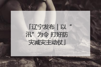 辽宁发布｜以“汛”为令 打好防灾减灾主动仗
