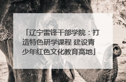 辽宁雷锋干部学院：打造特色研学课程 建设青少年红色文化教育高地