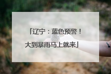 辽宁：蓝色预警！大到暴雨马上就来