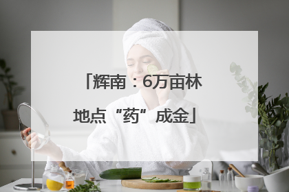 辉南：6万亩林地点“药”成金