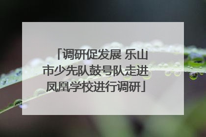 调研促发展 乐山市少先队鼓号队走进凤凰学校进行调研