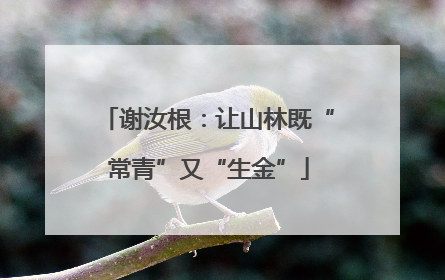 谢汝根：让山林既“常青”又“生金”