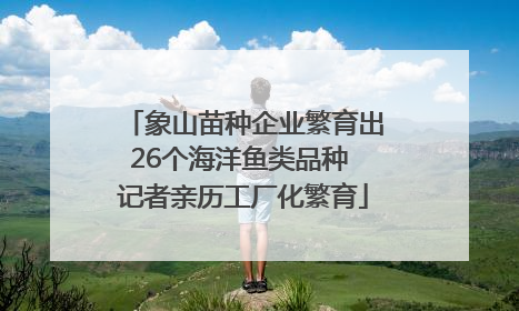 象山苗种企业繁育出26个海洋鱼类品种 记者亲历工厂化繁育