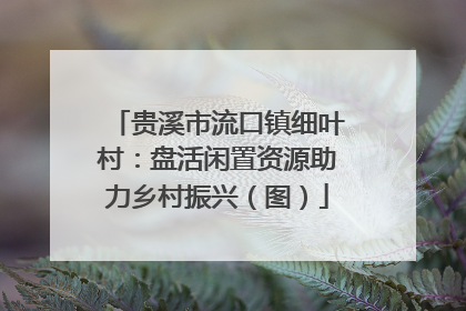 贵溪市流口镇细叶村：盘活闲置资源助力乡村振兴（图）