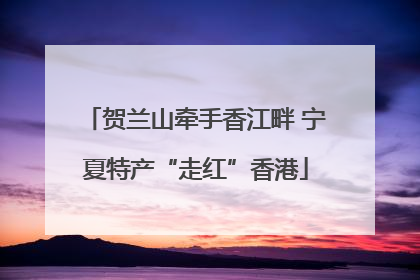 贺兰山牵手香江畔 宁夏特产“走红”香港