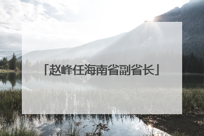 赵峰任海南省副省长