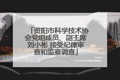 资阳市科学技术协会党组成员、副主席刘小彬 接受纪律审查和监察调查