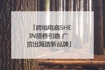 跨境电商SHEIN搭桥引路 广货出海造新品牌