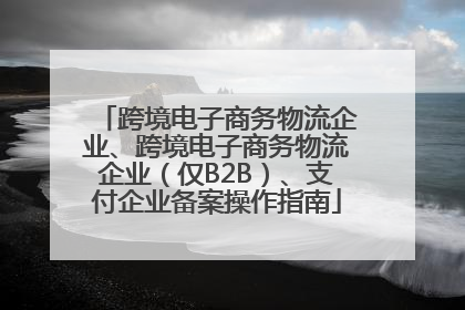 跨境电子商务物流企业、跨境电子商务物流企业（仅B2B）、支付企业备案操作指南
