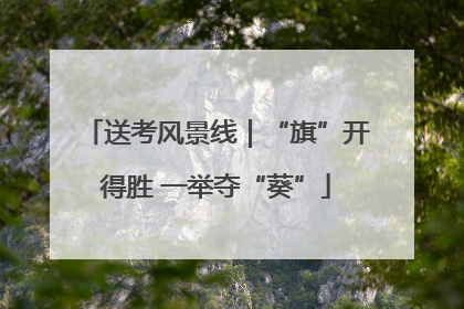 送考风景线｜“旗”开得胜 一举夺“葵”