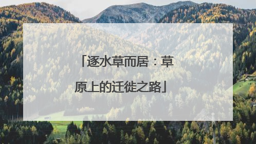 逐水草而居：草原上的迁徙之路