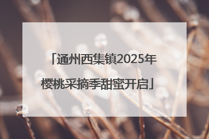 通州西集镇2025年樱桃采摘季甜蜜开启