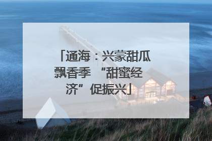 通海：兴蒙甜瓜飘香季 “甜蜜经济”促振兴