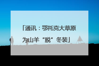 通讯：鄂托克大草原为山羊“脱”冬装