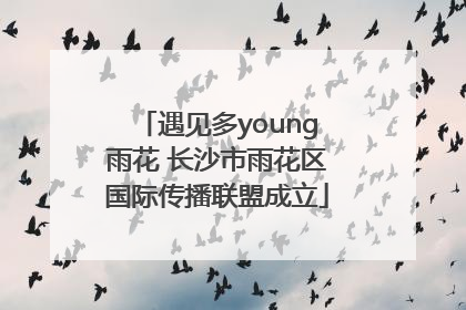 遇见多young雨花 长沙市雨花区国际传播联盟成立