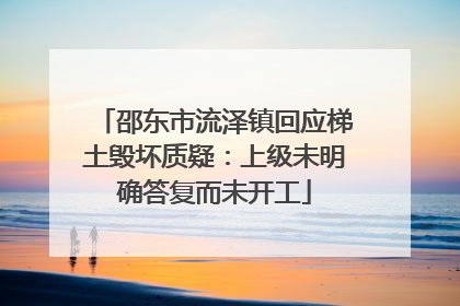 邵东市流泽镇回应梯土毁坏质疑：上级未明确答复而未开工